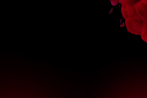 Z6ʱйٷվ